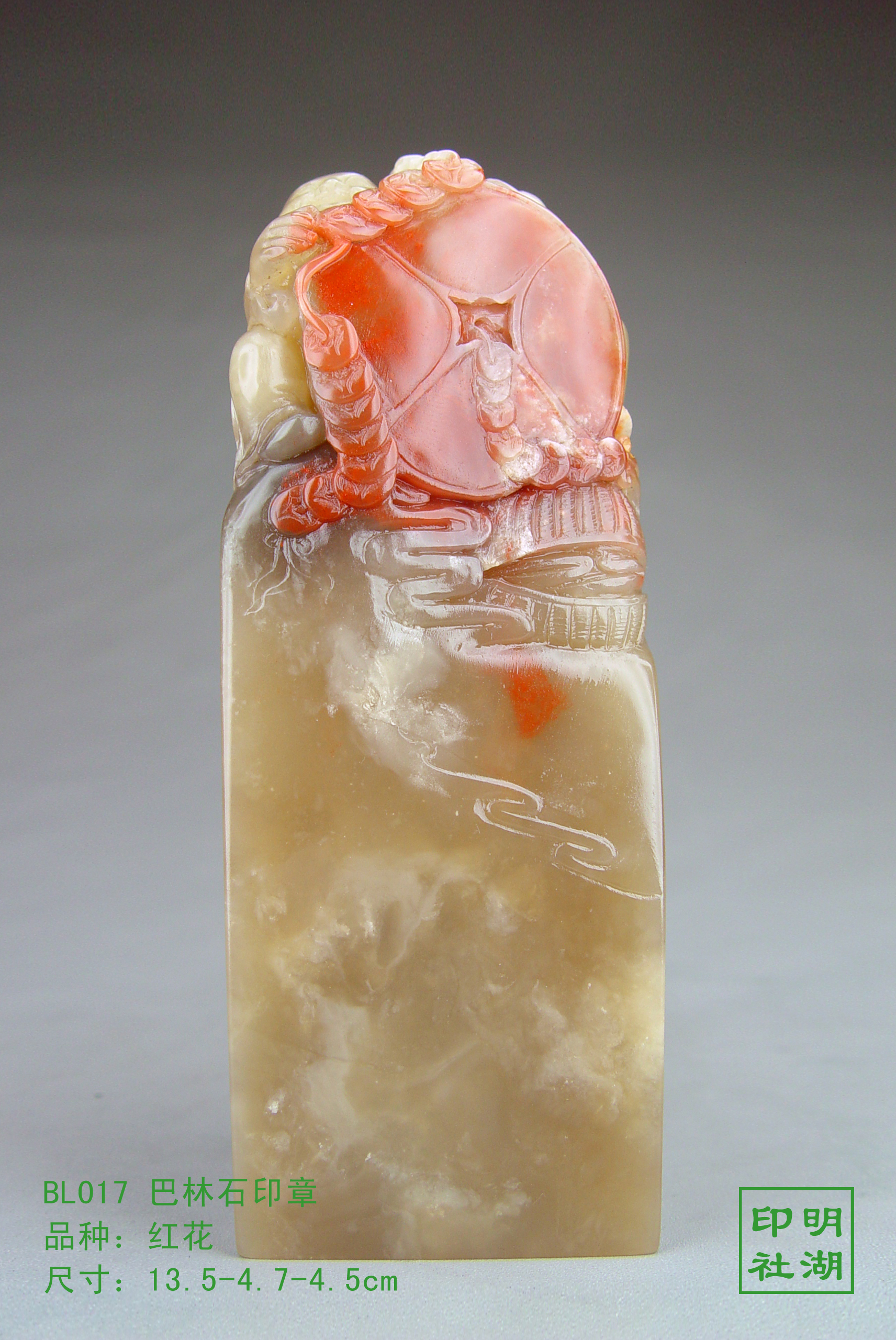 BL017巴林红花前13.5-4.7-4.5cm副本.jpg