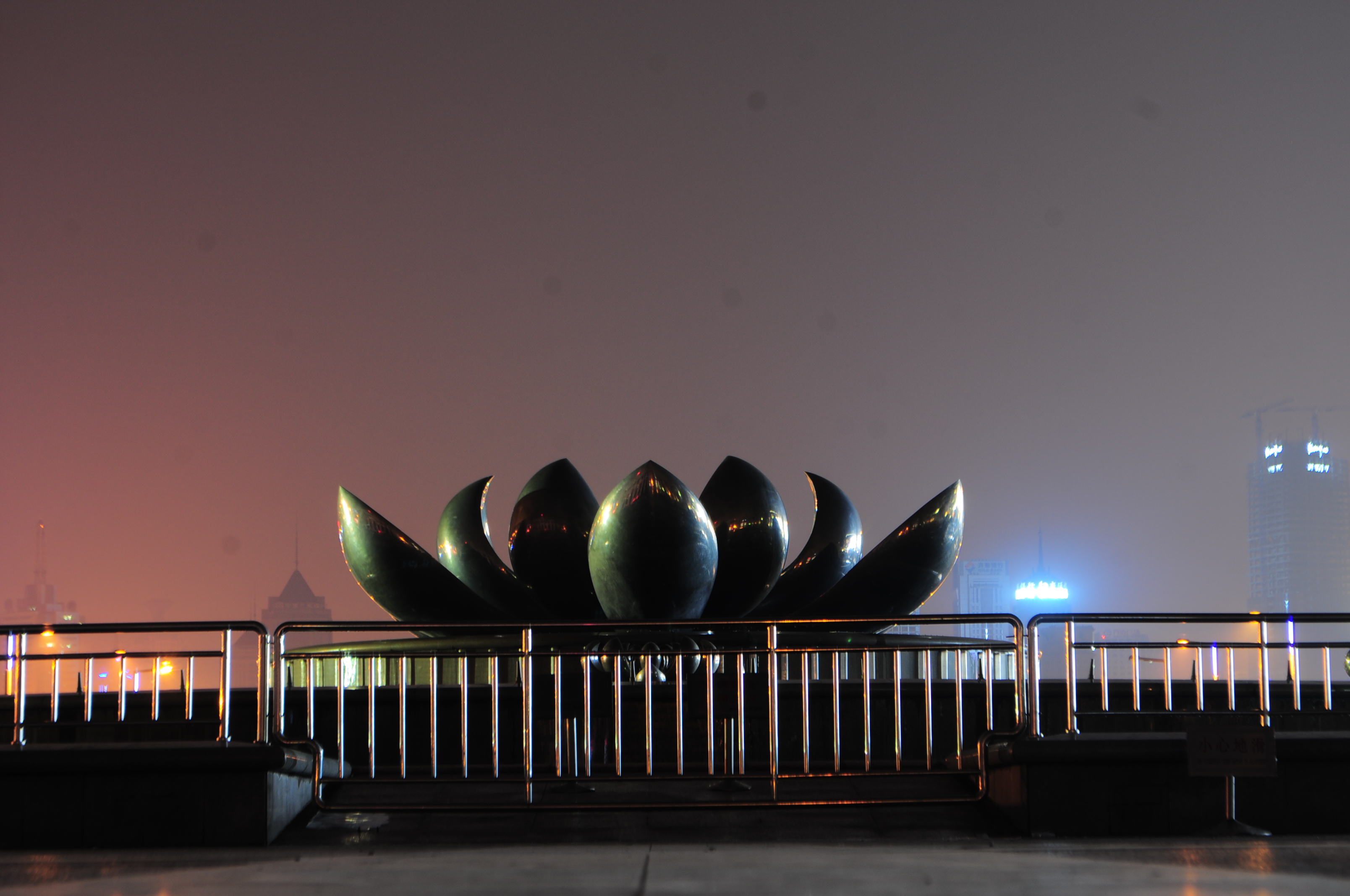 DSC_0705.JPG