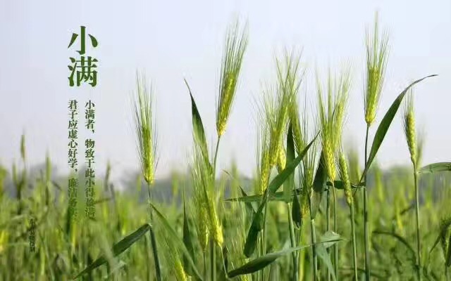 IMG_8569.JPG