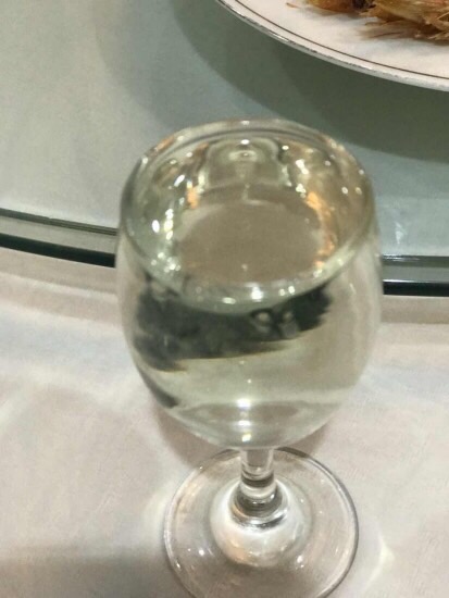 7EEA3F48-42F9-40A0-A446-DE52797E4C3D.jpeg