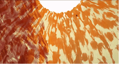 D2C63F30-A441-4E70-8F00-36F735E662AE.gif