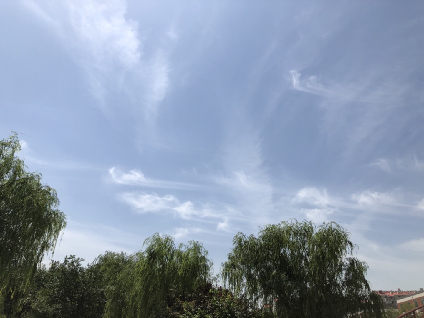 4F3C4539-7100-47BD-A39A-B295ACFD06D4.jpeg