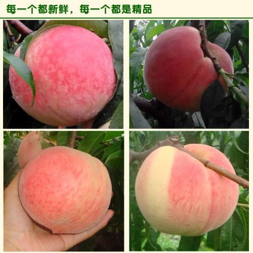 4FD2F4CB-860B-46A6-ABAE-A1533E00ADCF.jpeg