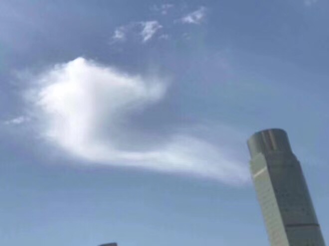 85F18B24-F5EE-4EB6-BCE1-C09C6CB1DA98.jpeg