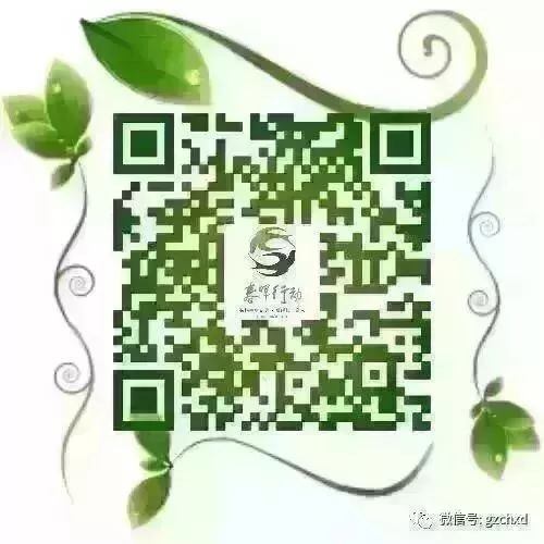 678AC3B7-68DE-4A7A-AFC6-FB08ECF9A8EF.jpeg