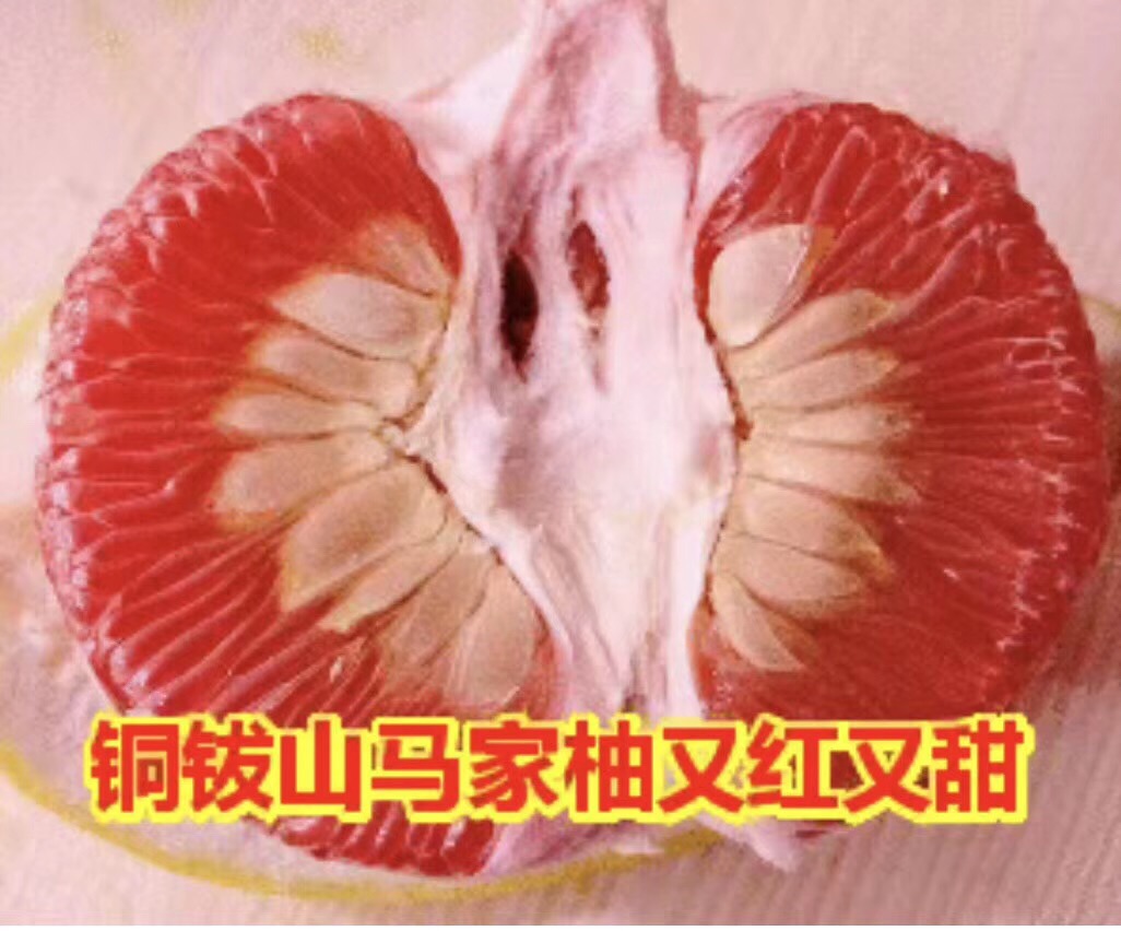 4B688AC7-2EAF-4C55-A58E-8354ED638D3D.jpeg