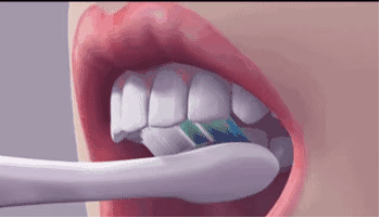 8EB1D6F7-DF88-4DA1-8270-80C0E7408C2F.gif