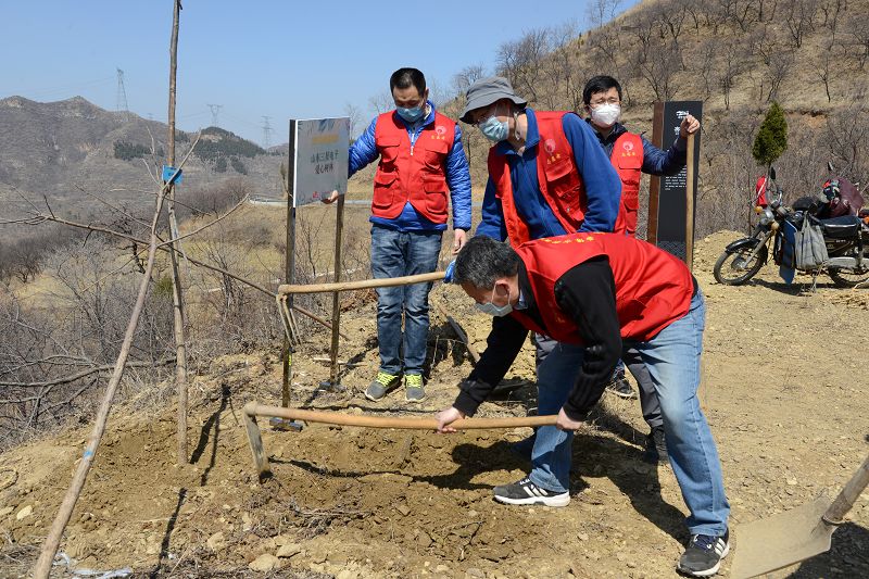 2020年3月17日，我为祖国种棵树活动在博山区大山深处泉子村植树现场。 (46).JPG