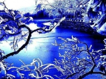 专业摄影师的绝妙9招，教你如何拍雪景，不学可惜！