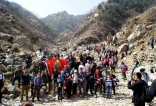 个性麦黄山与麦黄山的性格