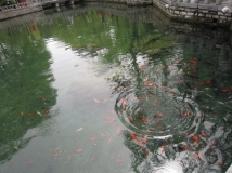 一山一水一圣人——山东经典景点四日游之济南