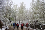 大佛头群南泉看暮春雪景 青龙峪赏桃花红
