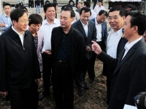 农业部部长韩长赋在山东茌平调研