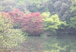 印迹-自由行清明节西湖-九溪十八涧-浙西大峡谷-吴越古道-河桥古镇等三日游