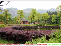 踏浪风行三清山 龙虎山 龟峰 归来精美大片 持续更新中