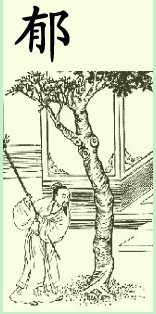 郁氏宗亲